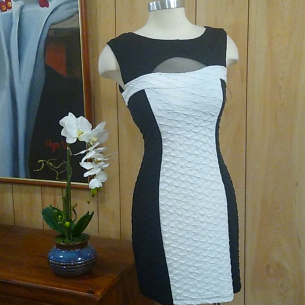 Bodycon sleeveless black and white dress